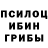 Псилоцибиновые грибы Psilocybine cubensis Bil Akxenov