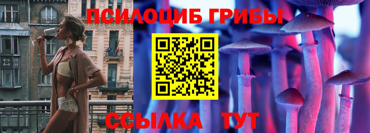 Бугульма  Псилоцибиновые грибы ЛСД  Вход с VPN  Галлюциногенные грибы ЛСД 