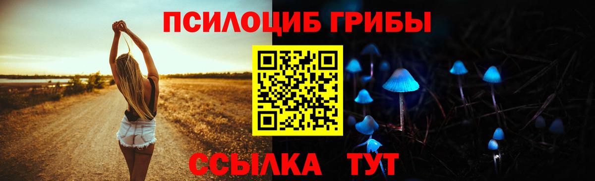 Псилоцибиновые грибы мицелий  Бугульма  Галлюциногенные грибы Magic Shrooms 